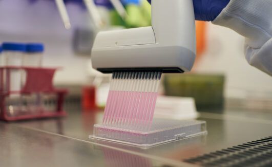 Pipettes 3 650x325