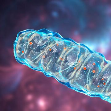 Publication in The Journal of Pharmacology and Experimental Therapeutics: Novel Mitochondrial Modulation