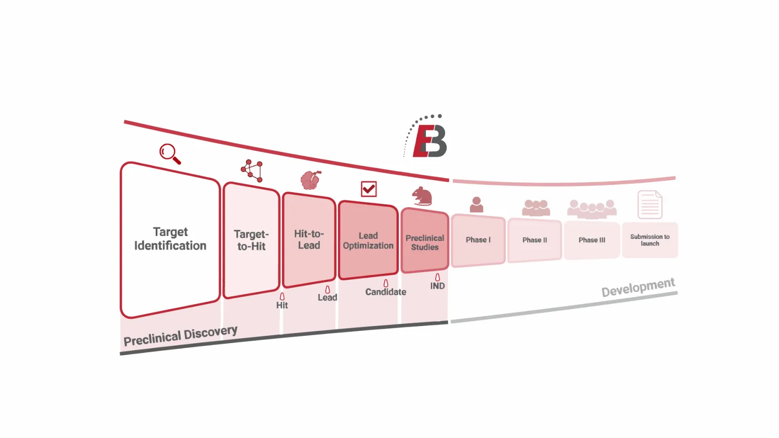 Drug discovery phases